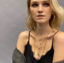 Load image into Gallery viewer, 14kt Gold and Enamel Medallion Necklace
